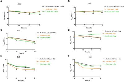 The (p)ppGpp synthetase Rsh promotes rifampicin tolerant persister cell formation in Brucella abortus by regulating the type II toxin-antitoxin module mbcTA